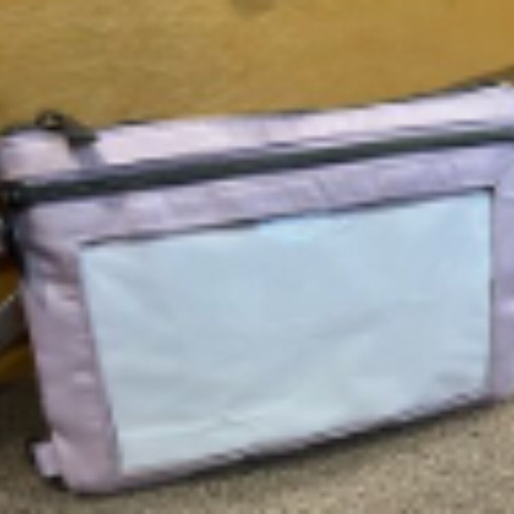 EUC- LUG- PEEKABOO 2- SUGARPLUM - Picture 2 of 3